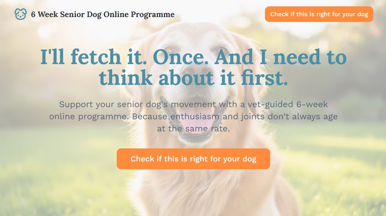 6-Week Senior Dog Mobility Programme